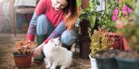 dueña plantando flores con un gato blanco