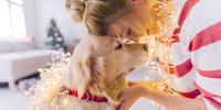 Owner and Dog lovingly touching foreheads with Christmas lights around them