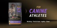 Pro Plan for canine athletes – working, field & hunt, agility, show
