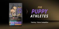 Pro Plan for puppy athletes – training, future competitor