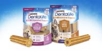 Dentalife plus daily oral dental care dog treats packaging
