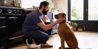 Man petting dog indoors
