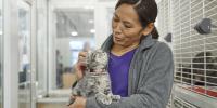 person holding a cat near kennel cages