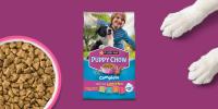 Purina Puppy Chow Complete With Real Lamb and Rice Puppy Food Dry Kibble