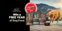 Win a FREE Year of Pro Plan