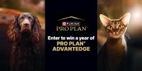 Enter to win a free year of Pro Plan AdvantEDGE