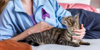 Person wearing purple ribbon snuggling cat in bed