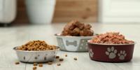 Three bowls of different dog food