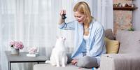 Woman training white cat on couch