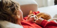 Person relaxing on a couch while gently petting an orange-and-white cat resting on their lap.