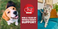 myPurina app sweepstakes for a chance to win a year of Purina ONE Whole Body Support.
