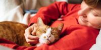 Person in a red sweatshirt relaxing with an orange-and-white cat resting on their chest while gently scratching the cat's chin.