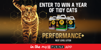 Enter to win a year of Tidy Cats Performance+