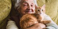 elderly woman snuggling an orange tabby kitten and smiling