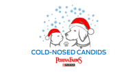 Cold-Nosed Candids