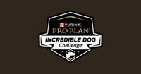 Incredible Dog Challenge