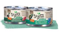 Beyond grain free wet cat food recipes