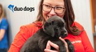 Duo Dogs Banner