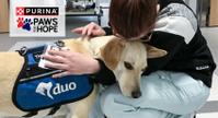 Purina Paws For Hope Banner