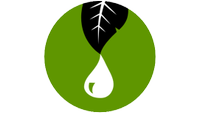 leaf with a droplet