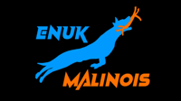 Enuk Malinois Dock Diving