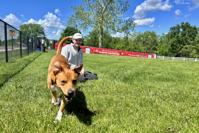 Pups Play Yard