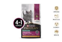 Vital Systems Kitten Dry