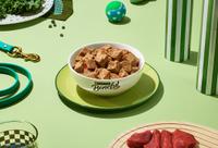 bowl of beneful freshly prepared dog food