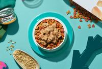 Bowl of Beneful dry kibble topped with incredibites wet food.