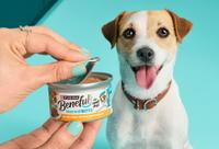 Dog smiling while hands of a person are opening a can of IncrediBITES wet dog food.