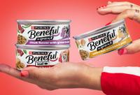 Dog licking lips as two hands open a can of Kicthen Creations.