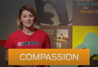 Value 5: Compassion