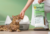 Human petting their cat while holding Tidy Cats Breeze Ion Pads package.