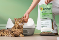 Human petting their cat while holding Tidy Cats Breeze Ion Pads package.