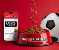 Tazón de comida para perro con balón de fútbol y promoción