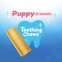Dentalife puppy teething chews for dogs 3+ months