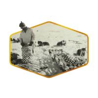 A black and white photo from Admiral Bird's Antartic expedition in the early 1930s