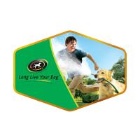 A still from a Purina Dog Chow tv commercial from the 2000s