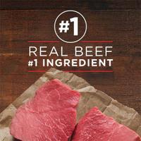 Real Beef #1 Ingredient