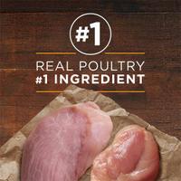 po dog wet ti cg vp tvcd fb1