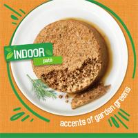Indoor Pate accents of garden greens