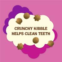 Crunchy kibble helps clean teeth
