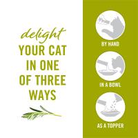 Deleita a tu gato de tres maneras distintas. con la mano, en un plato o como complemento.