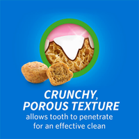 crunchy porous texture