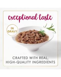 ingredientes-del-alimento-sabores-gourmet-naturales-de-pollo-y-res-en-salsa-preparada-con-jugo-de-cocción