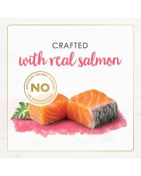 paté-de-carne-real-de-salmón-gourmet-naturals-para-gatitos