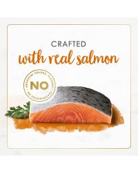 paté-de-carne-real-de-salmón-gourmet-naturals