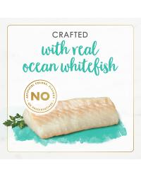 paté-de-carne-real-de-pescado-blanco-gourmet-naturals