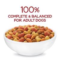 Completo y equilibrado al 100 % para perros adultos