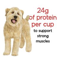 24 gramos de proteína por taza